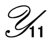 Y11