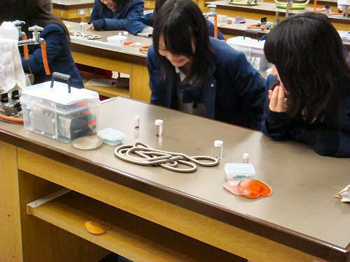 �⍪�����̏o���u�`�E���R�������Г썂���w�Z