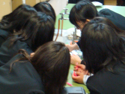 �⍪�����̏o���u�`�E���Ɍ������������w�Z