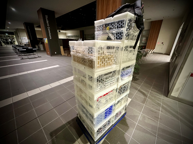 �t�@���f�[���{�E�⍪����