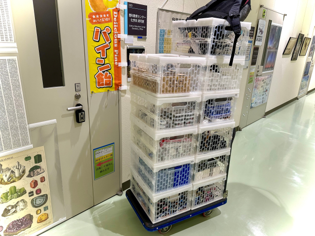 �t�@���f�[���{�E�⍪����