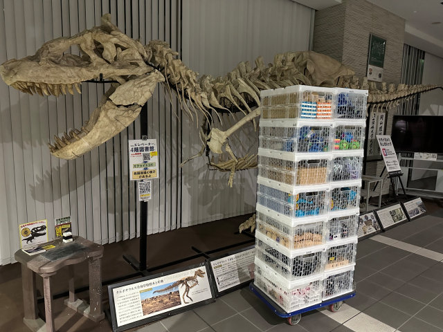 �w�Z�@�l�p���w�� �p���w�ى��R�Z�E�⍪����