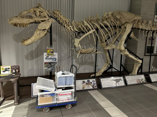 �w�Z�@�l�����l�w�� �����l�w�����w�Z�E�����w�Z�E�⍪����