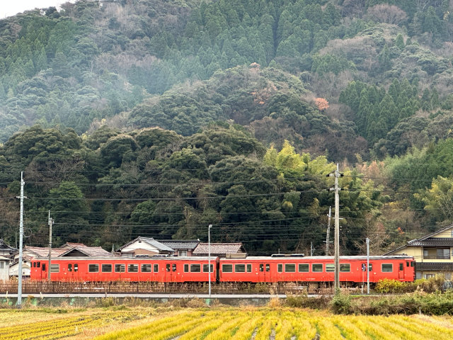 �w�Z�@�l�����l�w�� �����l�w�����w�Z�E�����w�Z�E�⍪����